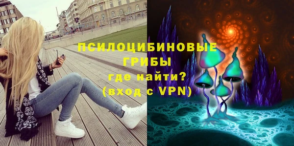 дмт Бронницы