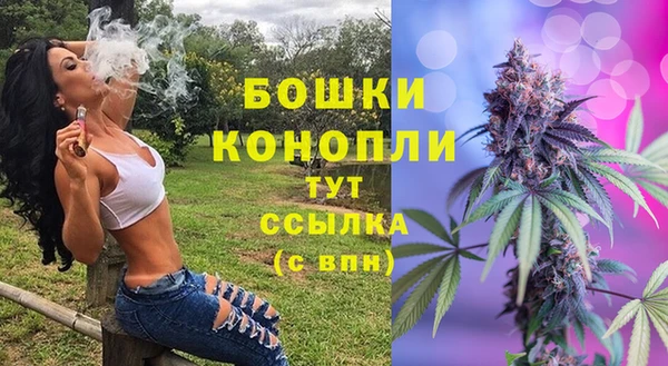 кокс Бородино