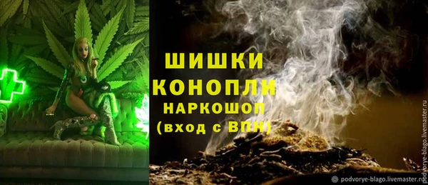 дмт Бронницы