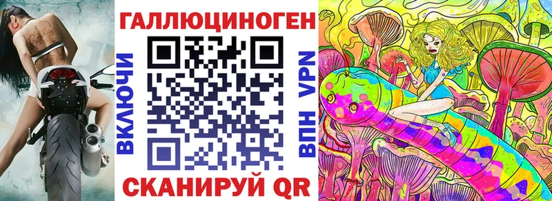 Псилоцибиновые грибы Psilocybine cubensis  Улан-Удэ 