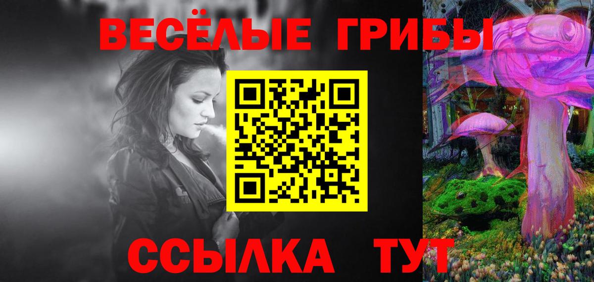 Галлюциногенные грибы Psilocybine cubensis  Вход с VPN  Улан-Удэ 